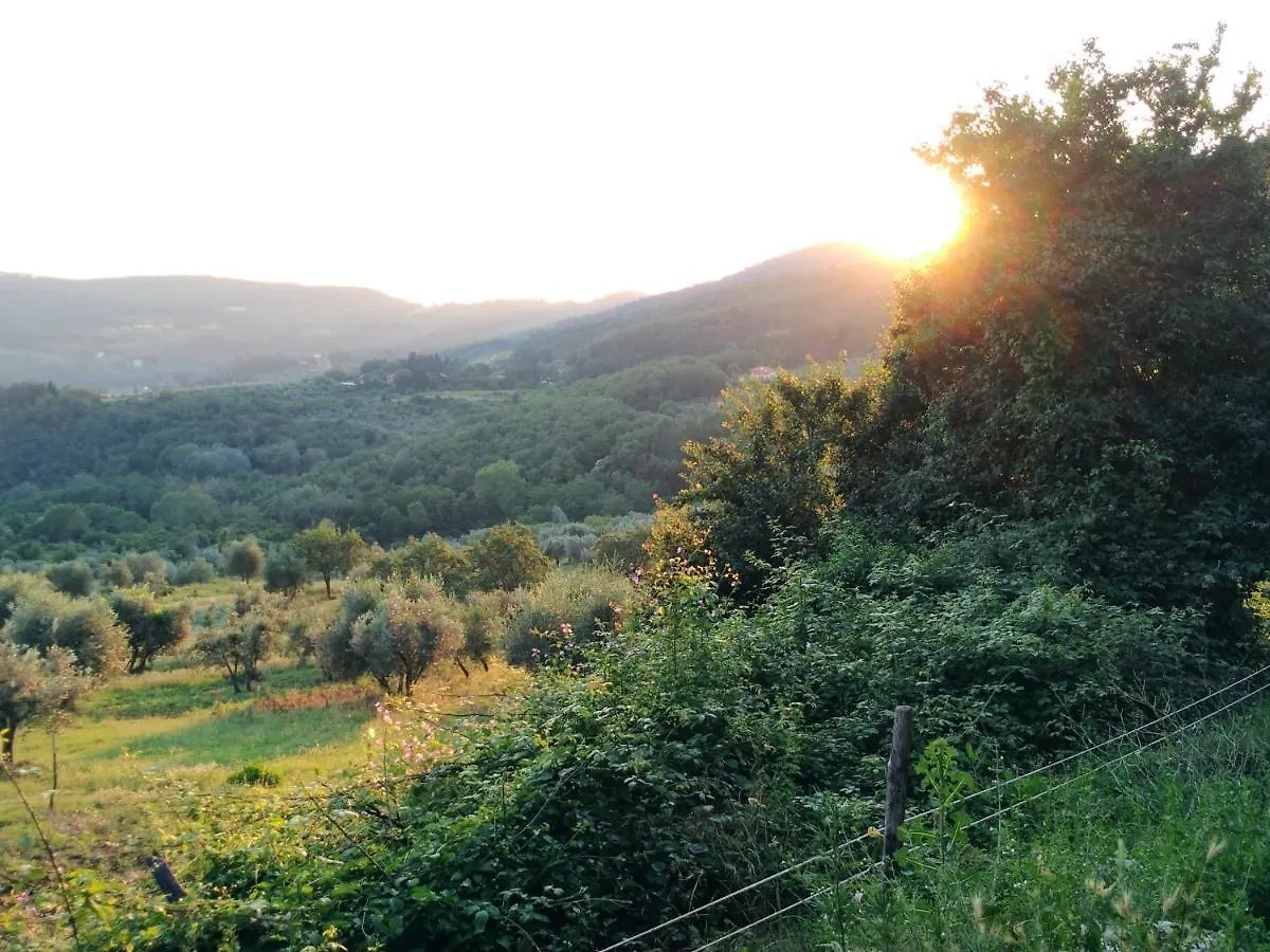 Appartamento La Casa di LiLi Pontassieve 0*,
