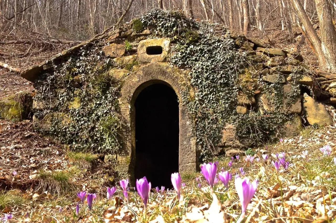 Appartamento La Casa di LiLi Pontassieve